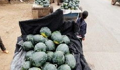 辽源吃瓜爆料事件真相,揭开真相背后的曲折历程